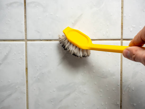 Best Commercial Mold Remediation in Ocean Grove, NJ